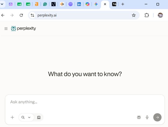 Perplexity AI browser interface with What do you want to know prompt bar